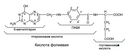 Состав молекулы кислоты