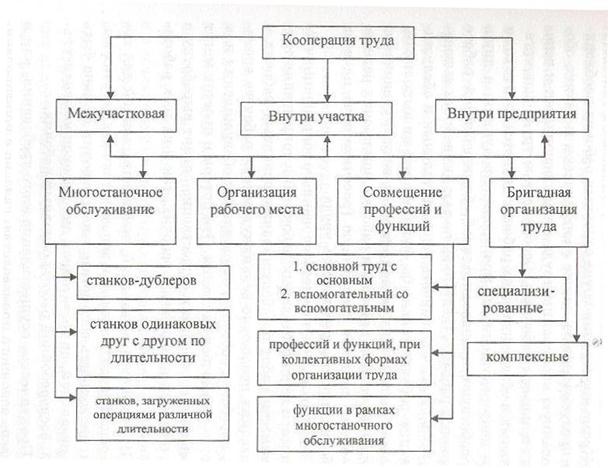 Существующая кооперация. Разделение и кооперирование труда. Формы кооперации труда.