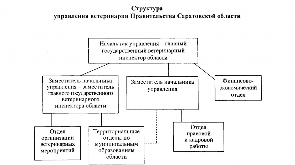 Ветеринарный контроль схема